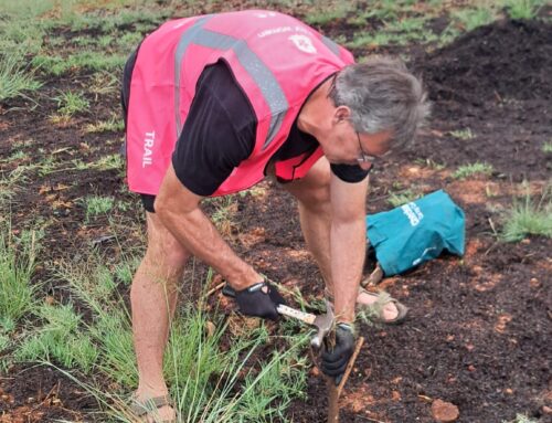 Jozi Trails Biodiversity Project – 10 November 2024